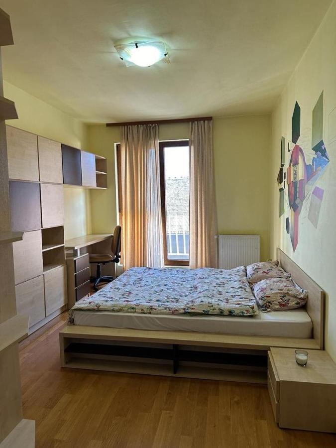 Central Apartment No1 티미쇼아라 외부 사진